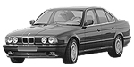 BMW E34 P101A Fault Code